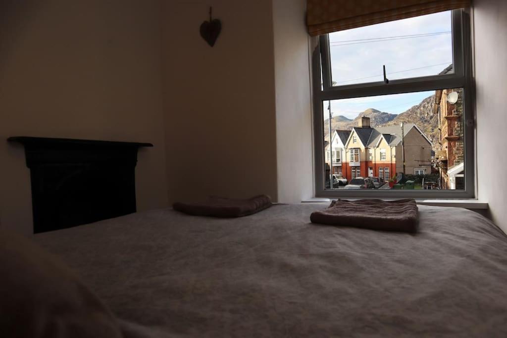 Dol Bach - Your Homely Welsh Cottage In The Heart Of Snowdonia Блайнай-Фестініоґ Екстер'єр фото