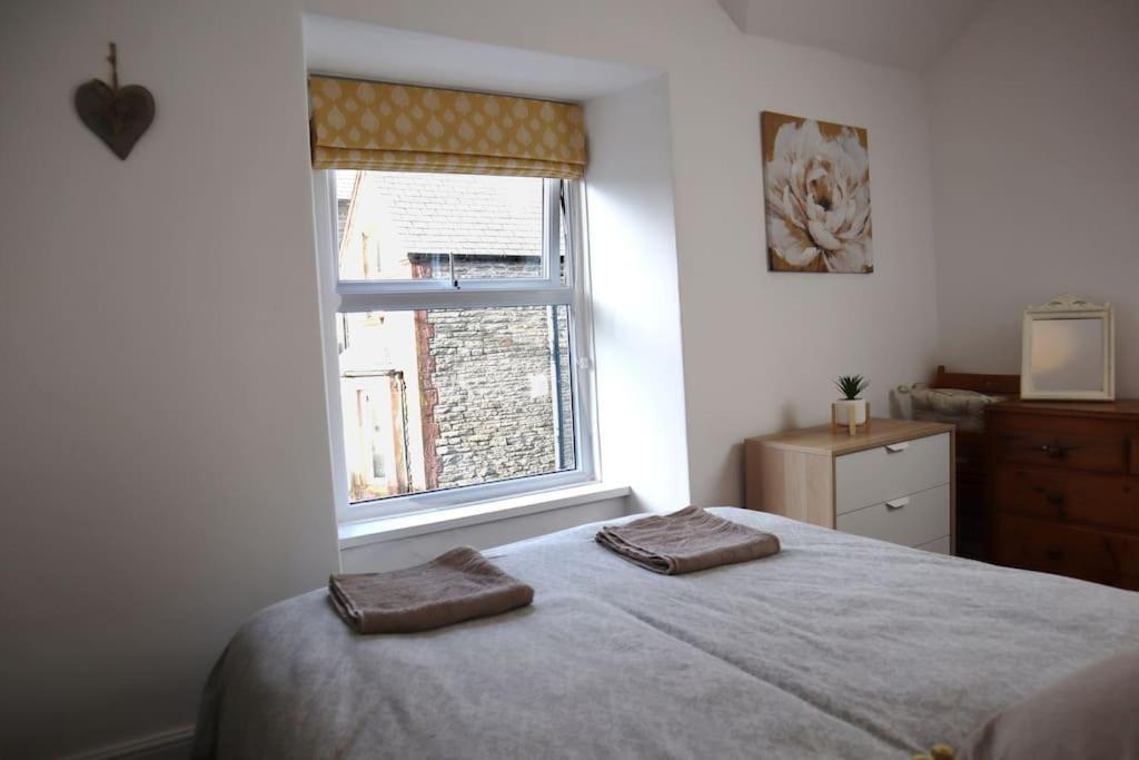 Dol Bach - Your Homely Welsh Cottage In The Heart Of Snowdonia Блайнай-Фестініоґ Екстер'єр фото