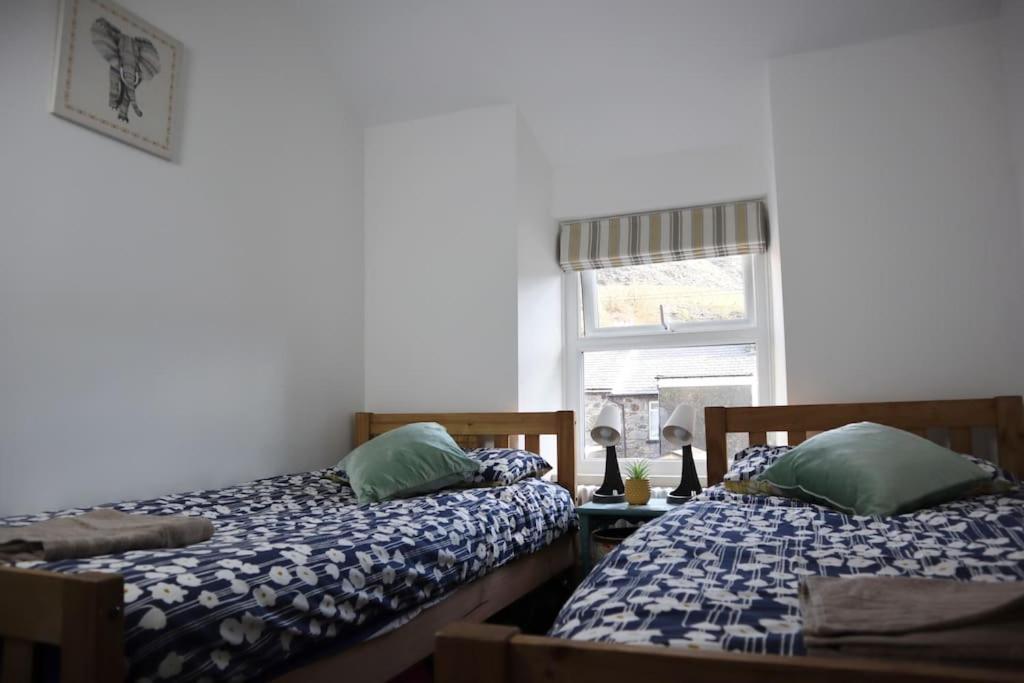 Dol Bach - Your Homely Welsh Cottage In The Heart Of Snowdonia Блайнай-Фестініоґ Екстер'єр фото